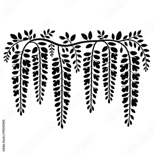 Stylized black and white illustration of weeping willow branches and leaves