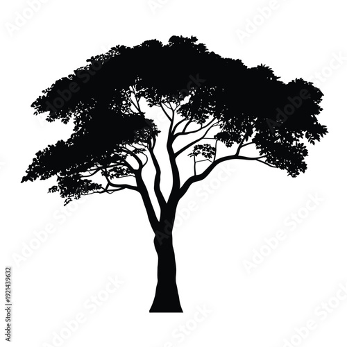 A striking silhouette of a large leafy tree against a white background
