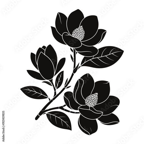 Elegant black and white illustration of magnolia flowers and leaves