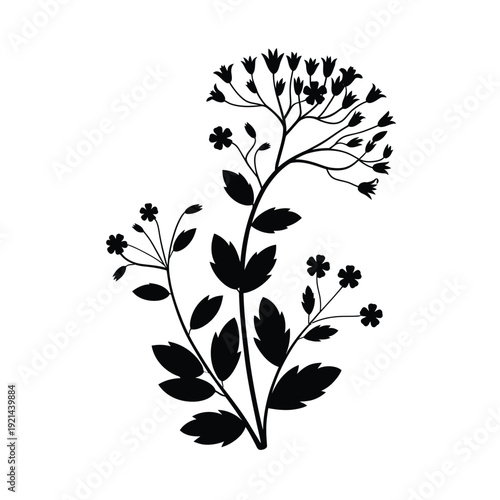 Black and white illustration of a delicate wildflower stem and leaves