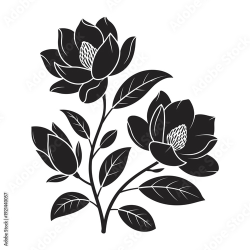 Elegant black and white illustration of magnolia flowers and green foliage