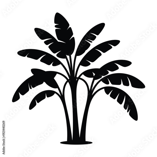 Minimalist black silhouette of a lush banana plant with large leaves