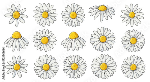 Illustration of daisies arranged in a grid pattern with simple lines and bright yellow centers