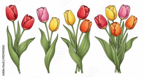 Vibrant tulips in full bloom, a colorful bouquet of flowers in a spring garden scene viewed from above.