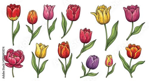 Vibrant tulips in various colors and stages of bloom, illustrated in a whimsical style from a direct overhead viewpoint.