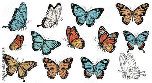 Collection of colorful butterflies in various poses and vibrant colors on a clean white background, vector illustration Whisk_bbbd10758532484b31d48768457876acdr.eps