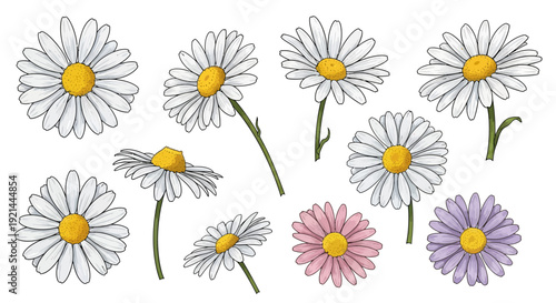 Whimsical floral arrangement of daisies in various colors and simple line art style