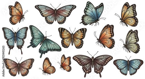 Collection of colorful butterfly illustrations showcasing various species and wing patterns from different viewpoints on a clean background, Whisk_f96f9b1cf0f6dc6b8d5436b9fcfd32b8dr.eps reference