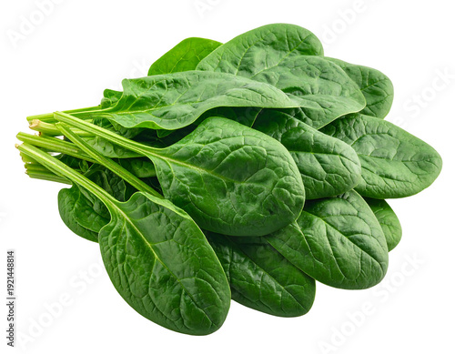Fresh green spinach leaves healthy and nutritious food isolated on white background.