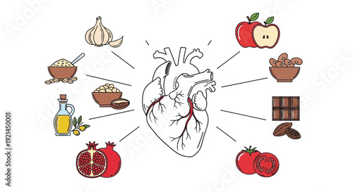 Foods for a healthy heart a colorful illustration of beneficial options