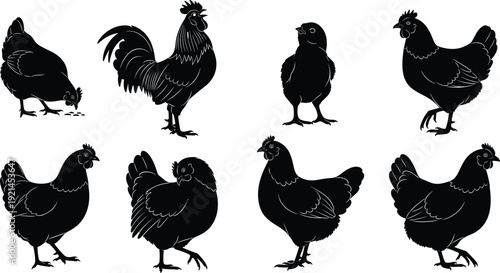 Black silhouettes of chickens and a rooster on white background