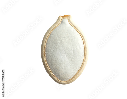 Close-up of a single pumpkin seed isolated on a white background.