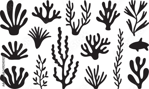 Various black silhouettes of seaweeds coral and small fish on transparent background