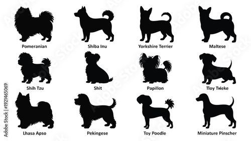 A vector file with text on a white background