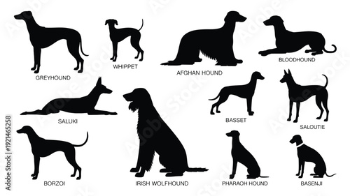 A vector file with text on a white background