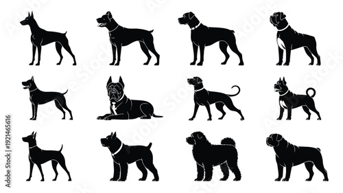 A vector file with text on a white background