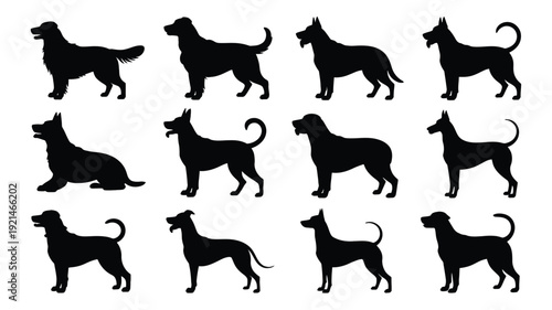 A vector file with text on a white background