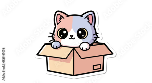cat in box