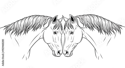 Horses head line art pair facing each other with flowing manes, symmetrical western equine portrait outline, monochrome ink sketch illustration isolated on white