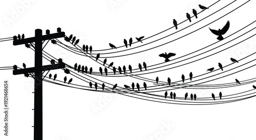 Black and white silhouette illustration of utility pole with birds perched on power lines, artistic vector resembling musical notes, urban wildlife scene for creative design projects