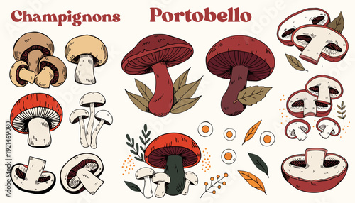 Very beautiful gourmet mushroom sketch set showcasing champignon and portobello varieties in elegant hand drawn style, celebrating vegetarian ingredients and natural forest harvest aesthetics.
