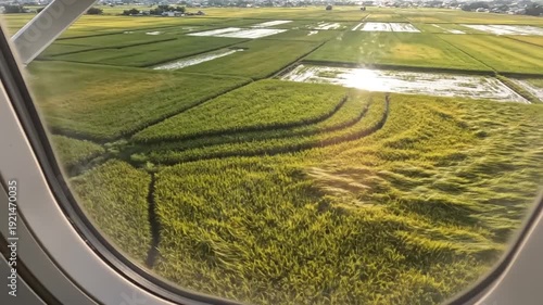 Aerial view of green fields and water from an airplane window.