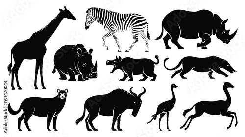 A vector file with text on a white background