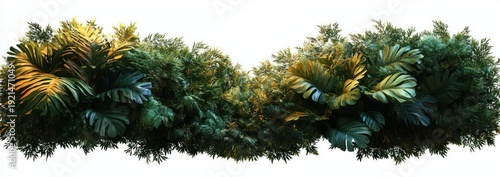 Lush horizontal band of tropical foliage with large split leaves and dense ferns, vibrant deep greens and golden highlights conveying a calm, fresh, restorative mood