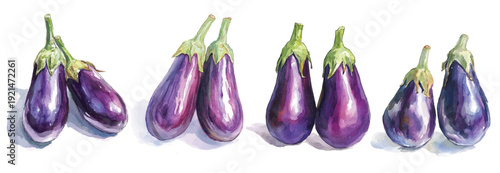 Mine Watercolor, hand-painted fresh eggplant painting illustration, vector illustration,  painting design, and EPS format design. vector illustration, isolated on a white background