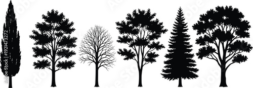 Tree silhouettes collection, conifer deciduous winter bare foliage vector, diverse botanical illustration set, landscape design elements artwork - flat vector illustration