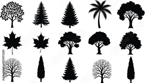 Tree and leaf silhouette collection with diverse species, botanical nature illustration, landscape design concept, educational vector set