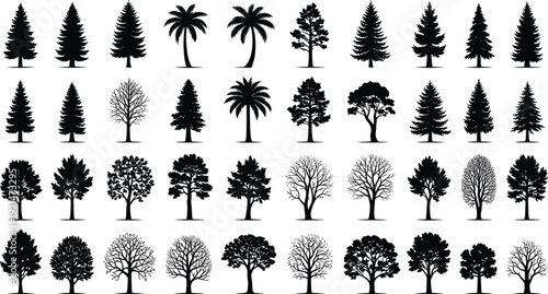 Tree silhouettes collection, diverse foliage vector set, conifer deciduous palm bare branches illustration, botanical landscape design artwork - flat vector illustration