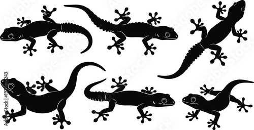 Set of black gecko and lizard silhouettes in various crawling and climbing poses isolated on white background for exotic reptile and tropical nature designs