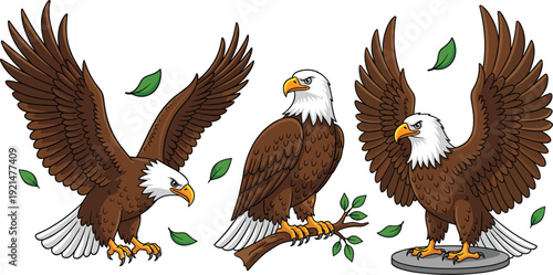 American Bald Eagle Vector Illustration Set with Flying Perching on Branch and Standing Poses Isolated on White Background