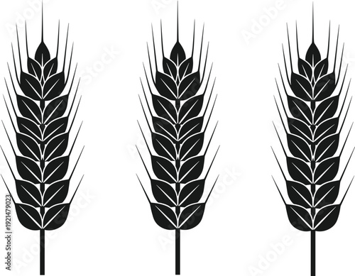 Wheat ear silhouette vector illustration, agricultural grain icon set, black cereal crop symbol isolated on white background design