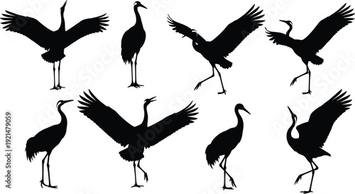 Set of Black Crane and Heron Silhouettes Including Flying and Standing Poses Isolated on White Background for Nature Wildlife Wetland Design and Vector Illustration