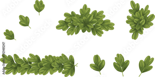 Green Boxwood Hedge and Leaf Elements Collection for Garden Landscape Design Natural Bush Borders Decorative Foliage and Botanical Layout Composition.