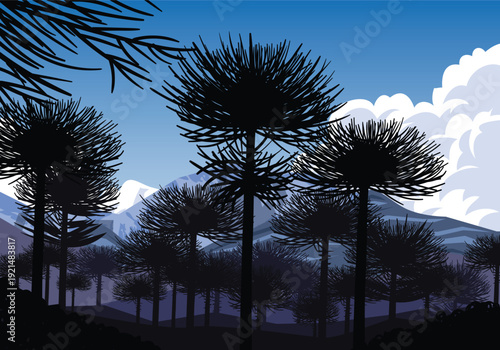 Evening in forest woods landscape vector illustration