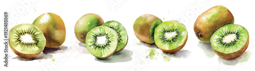 Simple, Beautiful kiwi set painting design set. Hand-painted style, vectorized, vector set available in EPS Simple Hand-painted watercolor style. Adobe Illustrator Artwork