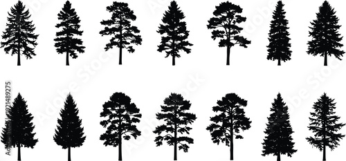 Collection of black pine tree silhouettes including spruce, fir, and cedar evergreens for forest landscape design and architectural nature mapping outdoors.
