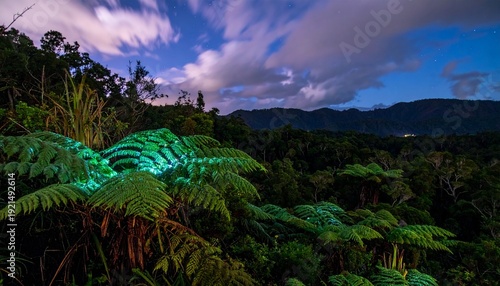 Glowing Bioluminescent Fern Fronds in New Zealand Rainforest Canopy Night