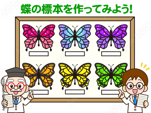 蝶の標本実験をする博士と科学者のベクターイラスト素材