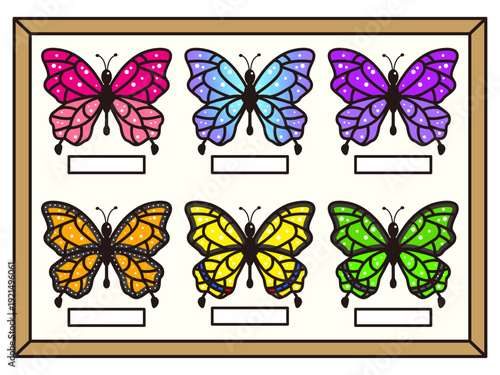 美しい蝶の標本のイラスト素材セット2
