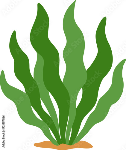 World seagrass day illustration. Seagrass, seaweed ocean ecosystem conservation. Vector isolated.
