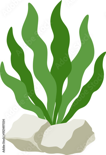 World seagrass day illustration. Seagrass, seaweed ocean ecosystem conservation. Vector isolated.