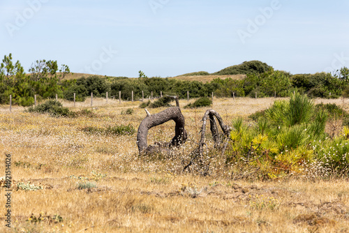 Sables d'Olones  France