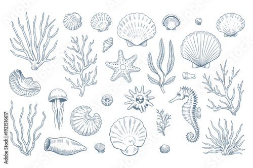 Foto Vintage marine life collection with coral seashell and seahorse ink sketch style isolated
