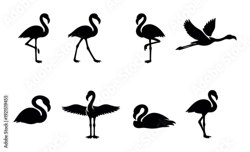 Silhouettes of flamingos and a flying bird on very dark background