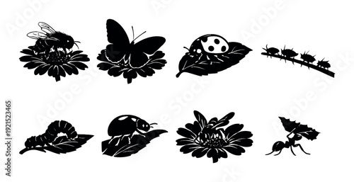 Various insects resting and crawling on flowers and leaves