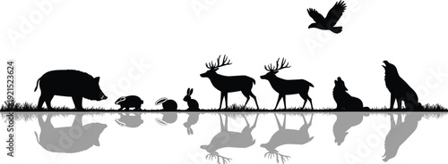 Black silhouette of wild animals including boar deer wolf rabbit badger and eagle on grass with reflections